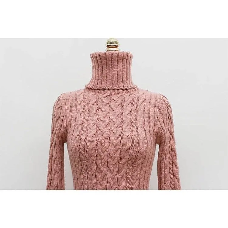 Bodycon Turtleneck Knitted Dress
