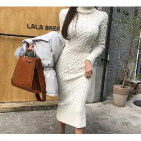 Bodycon Turtleneck Knitted Dress