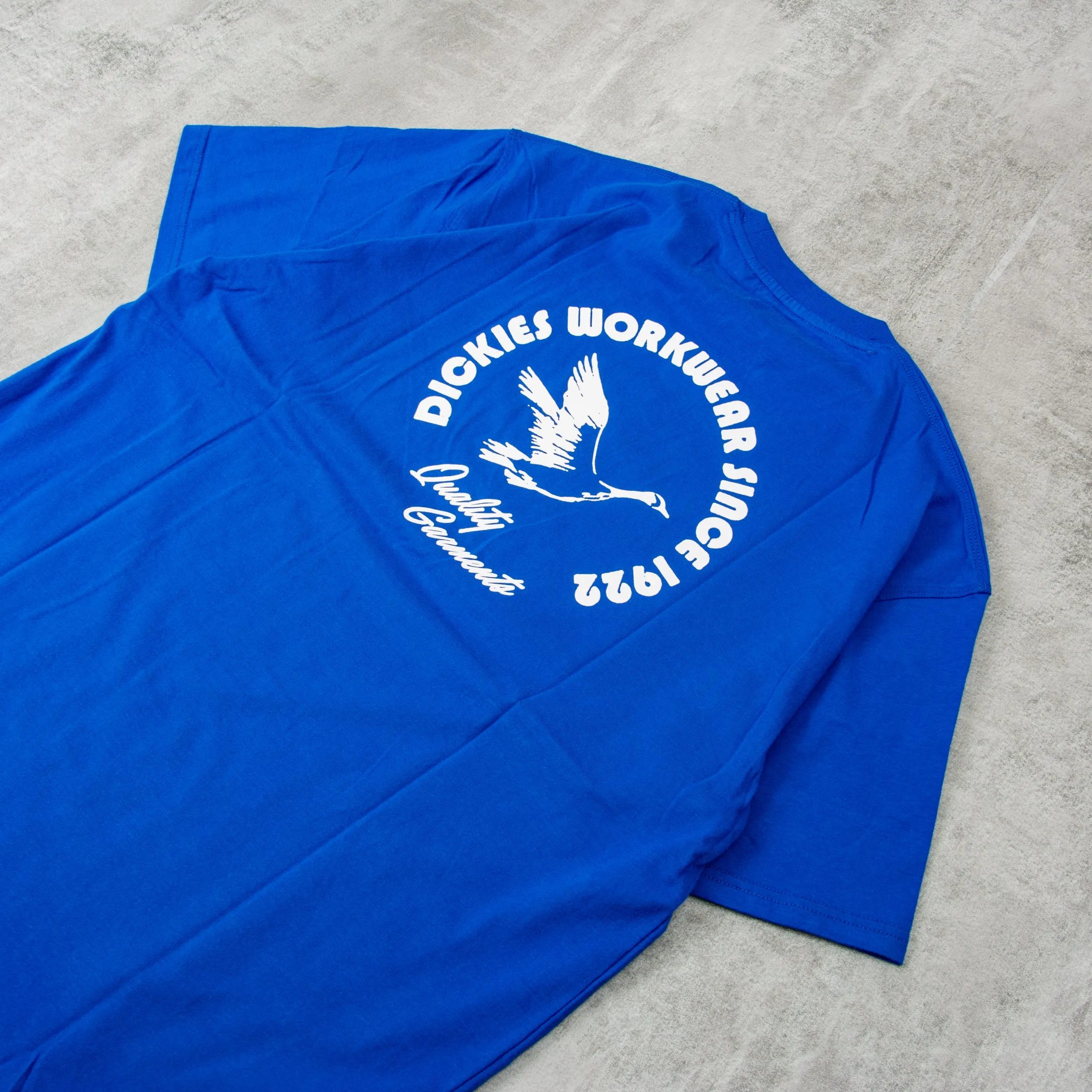 Dickies Goose Tee - Blue